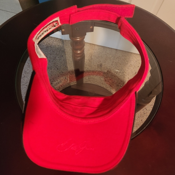 Dale Earnhardt Jr Adult Visor - Picture 2 of 3